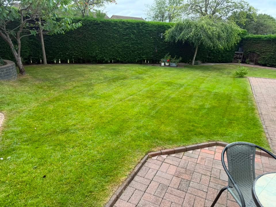 Hedge trimming & pruning
