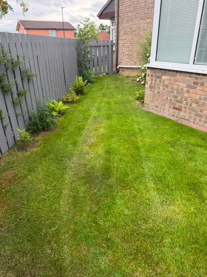 Lawn mowing & edging