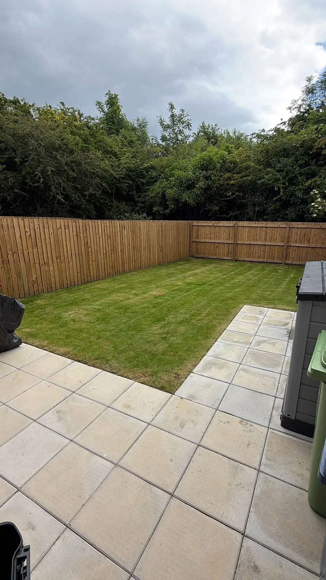Rear lawn maintenance & tidy-up